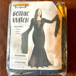 Gothic Witch women’s Halloween costume